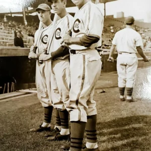 Frank Damaree, August Galan, Carl Reynolds ~ Vintage Type 1 Press Photo ~ Cubs